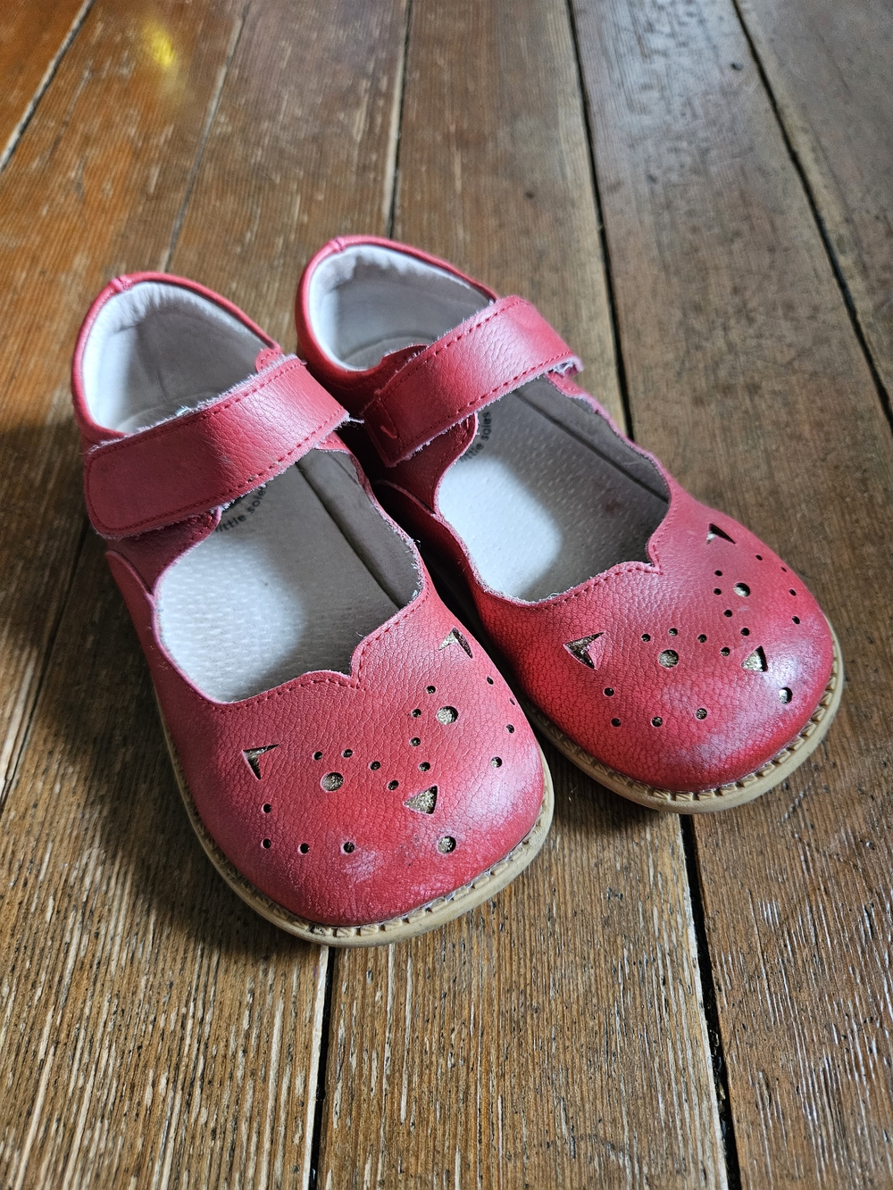 Livie & Luca Red Mary Jane Cat Cutout Shoes
